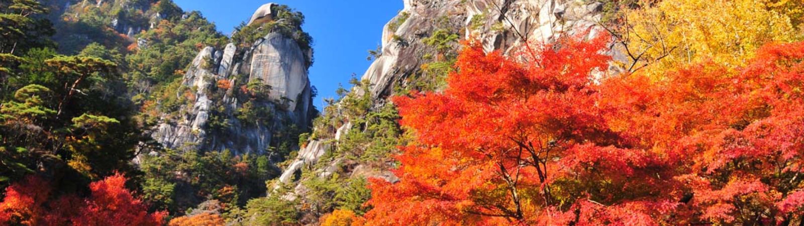 Shosenkyo Gorge Autumn Color Walk