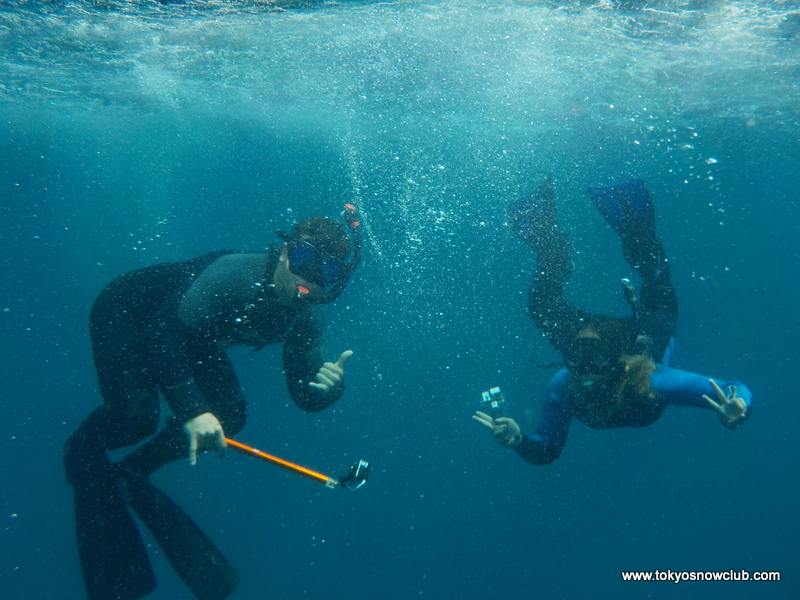 Miyakejima Dolphin Swim Island Getaway