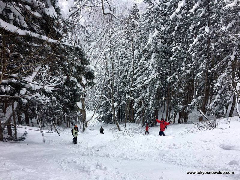 Nozawa Onsen Powder Weekend