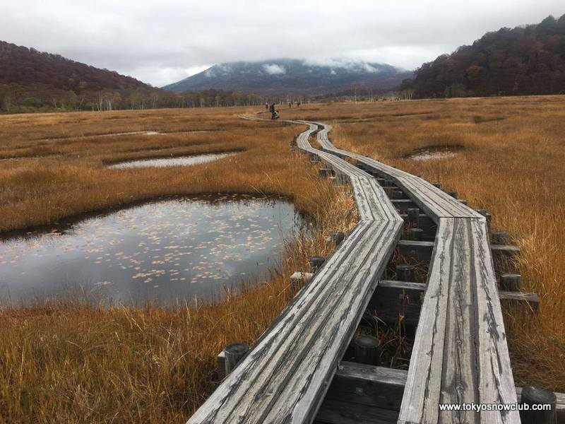 Oze Autumn Hike