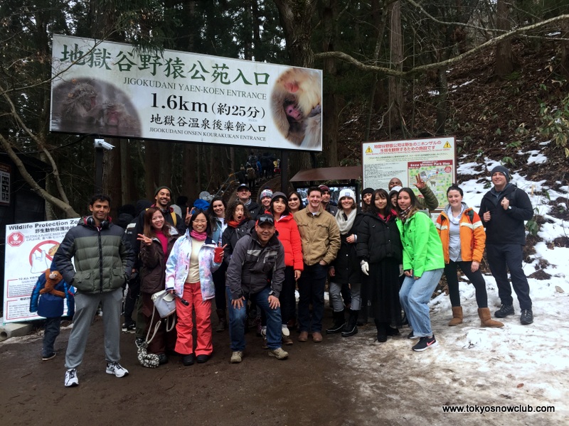 Shiga Kogen Snow Monkey Powder Long Weekend